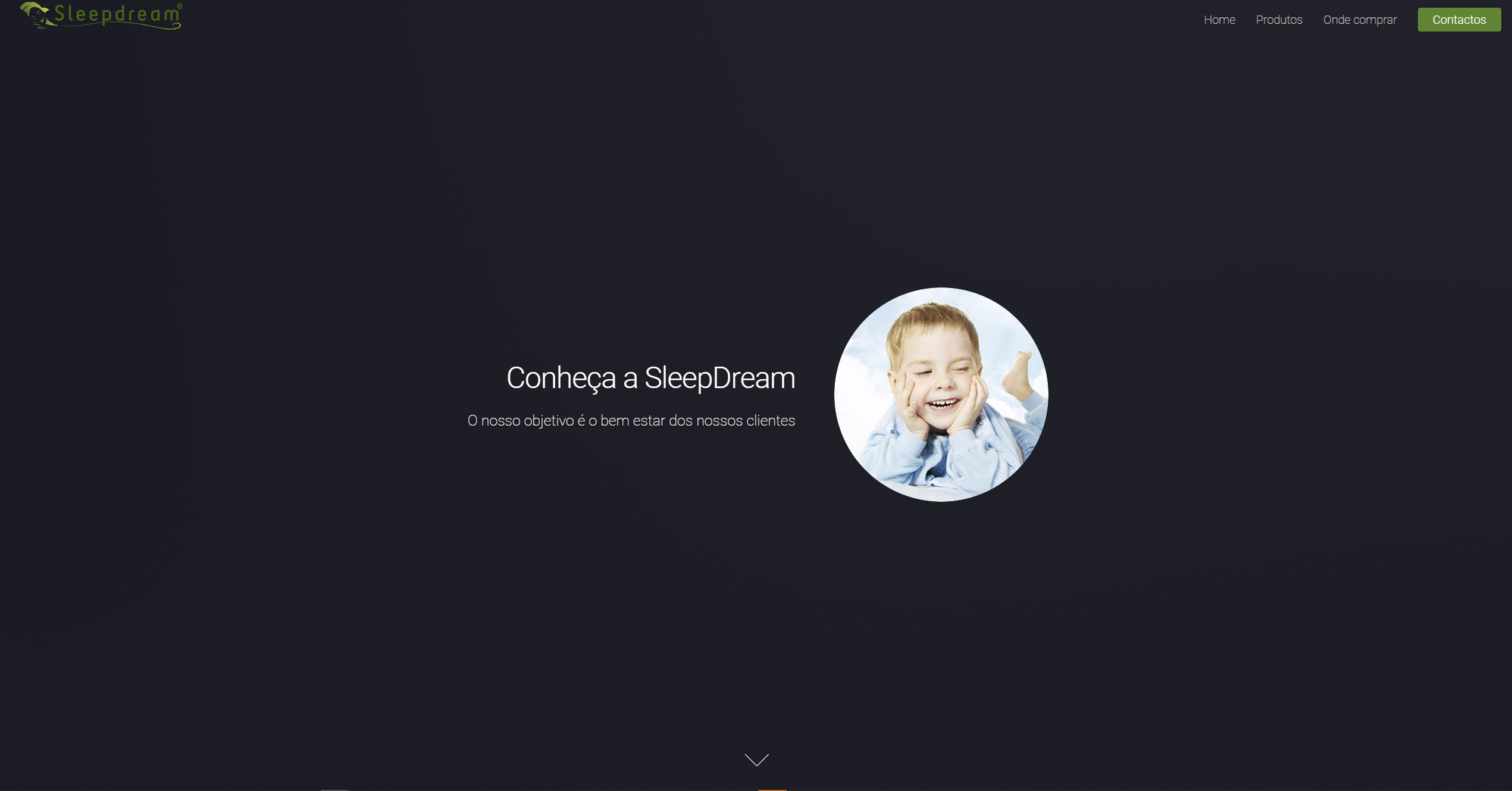 Sleepdream